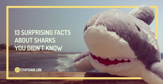 facts-sharks