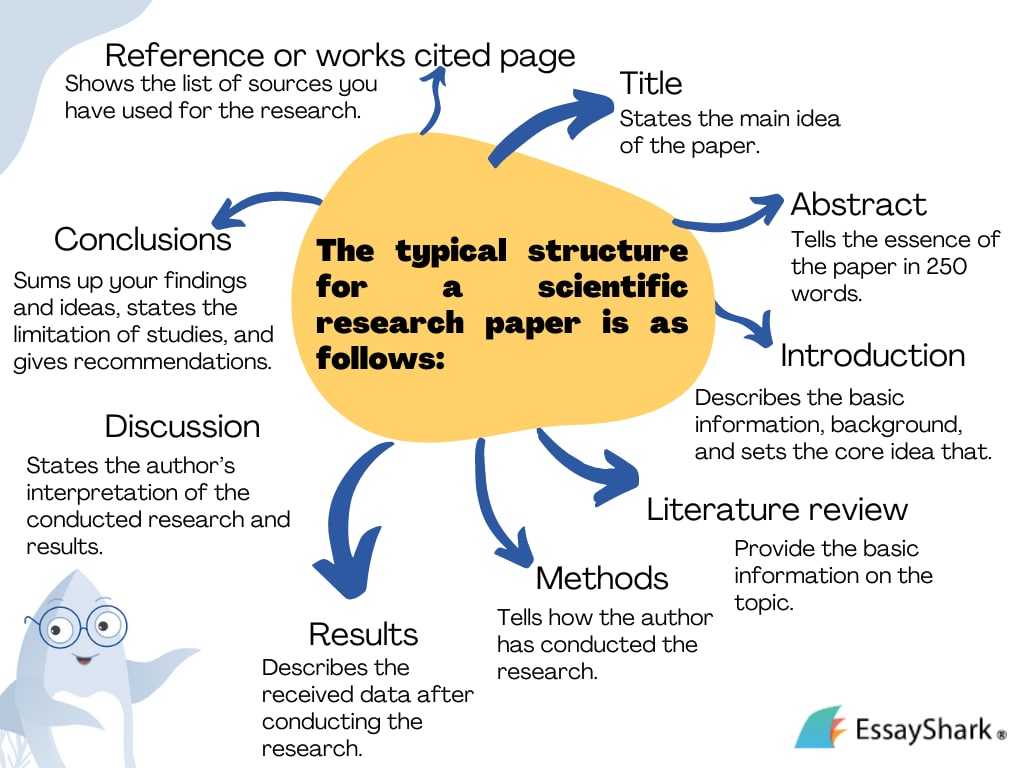 scientific research paper structure