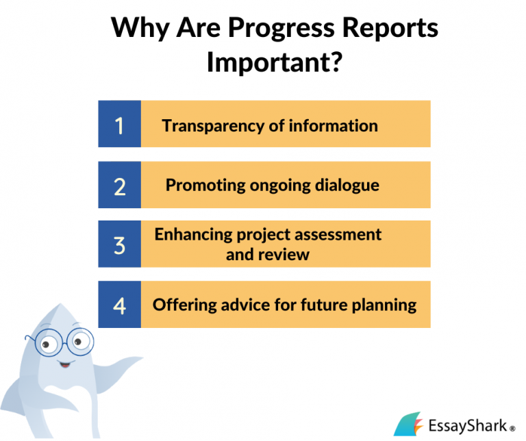 How to Write a Progress Report Guide