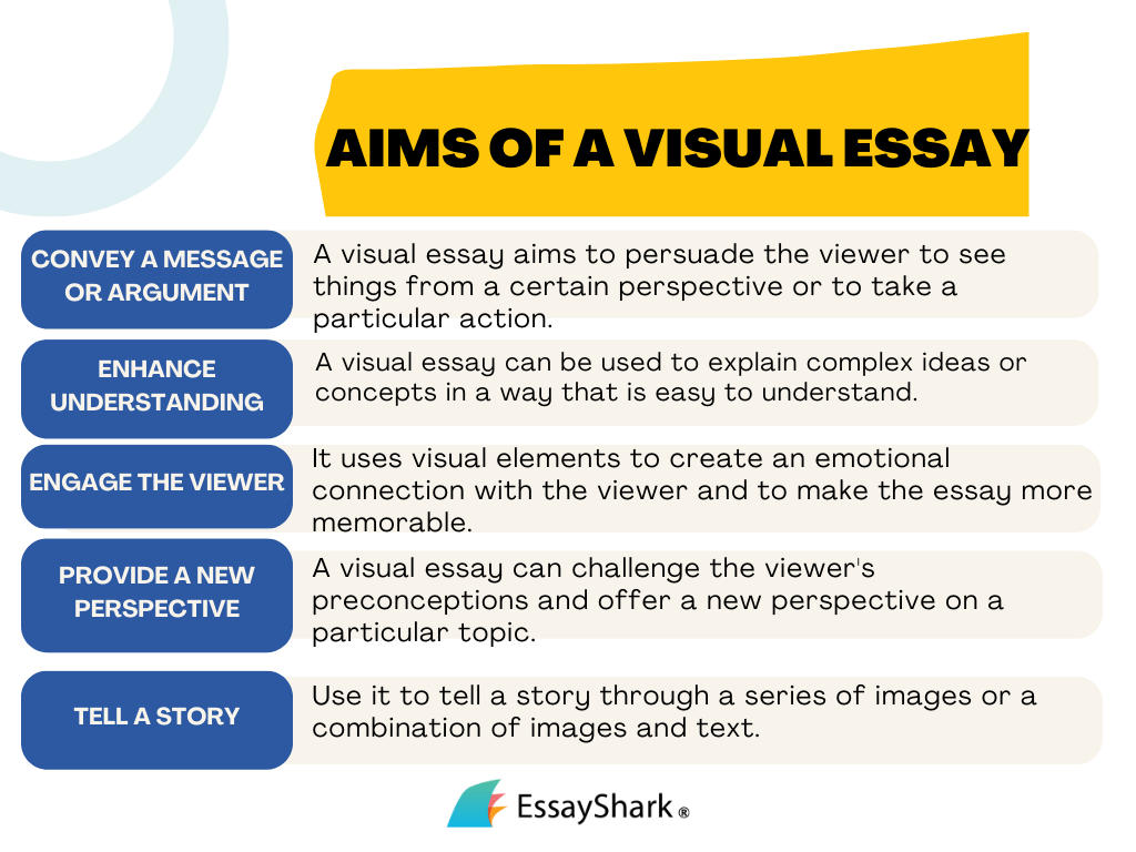 visual essay aims