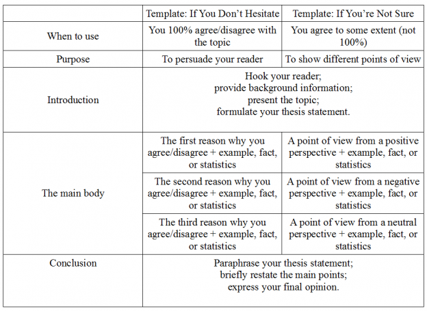 what's point of view essay