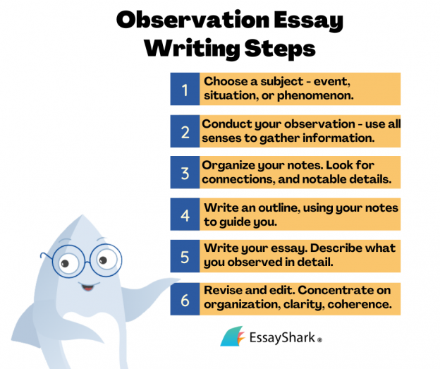 participant observation essay examples