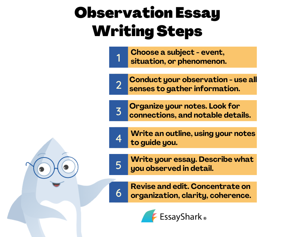 how to write observation essay