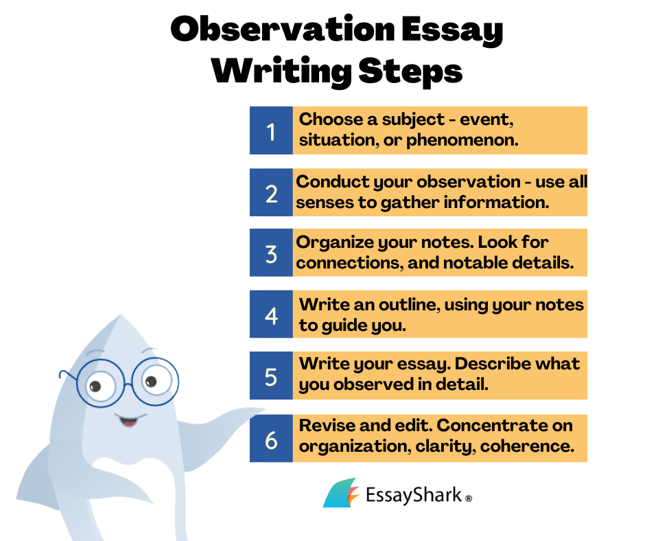 observational essay writing