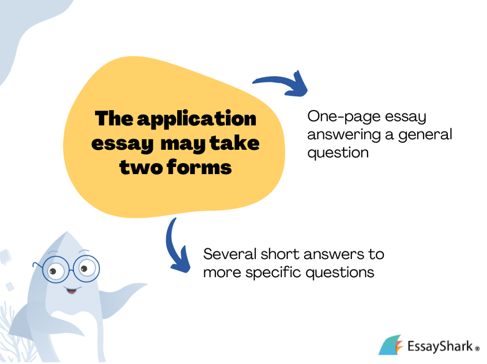 application essay types