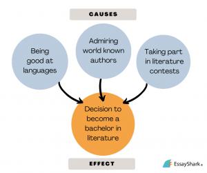 Reason Essay Example How to Write Cause and Effect Essay Effortlessly