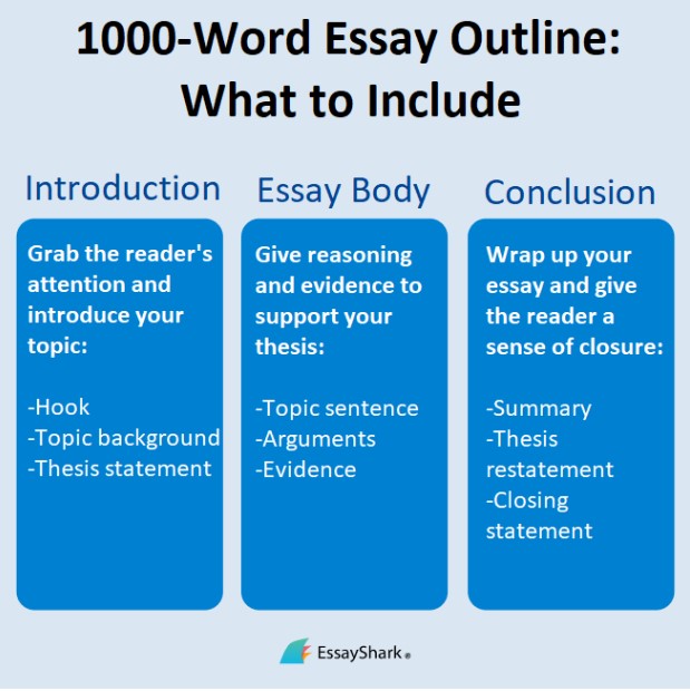 1000 word essay outline