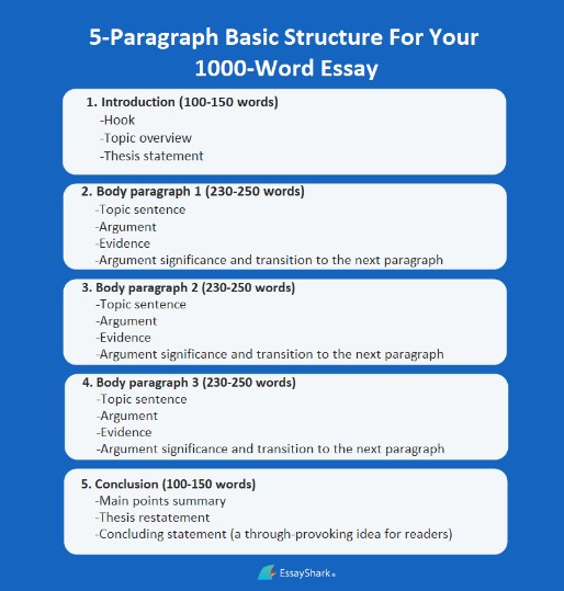 1000 Word Essay Structure