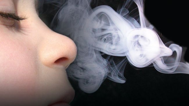 persuasive essay sample on smoking