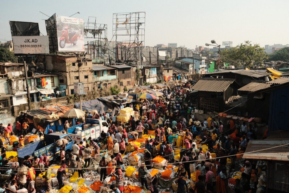 population control essay