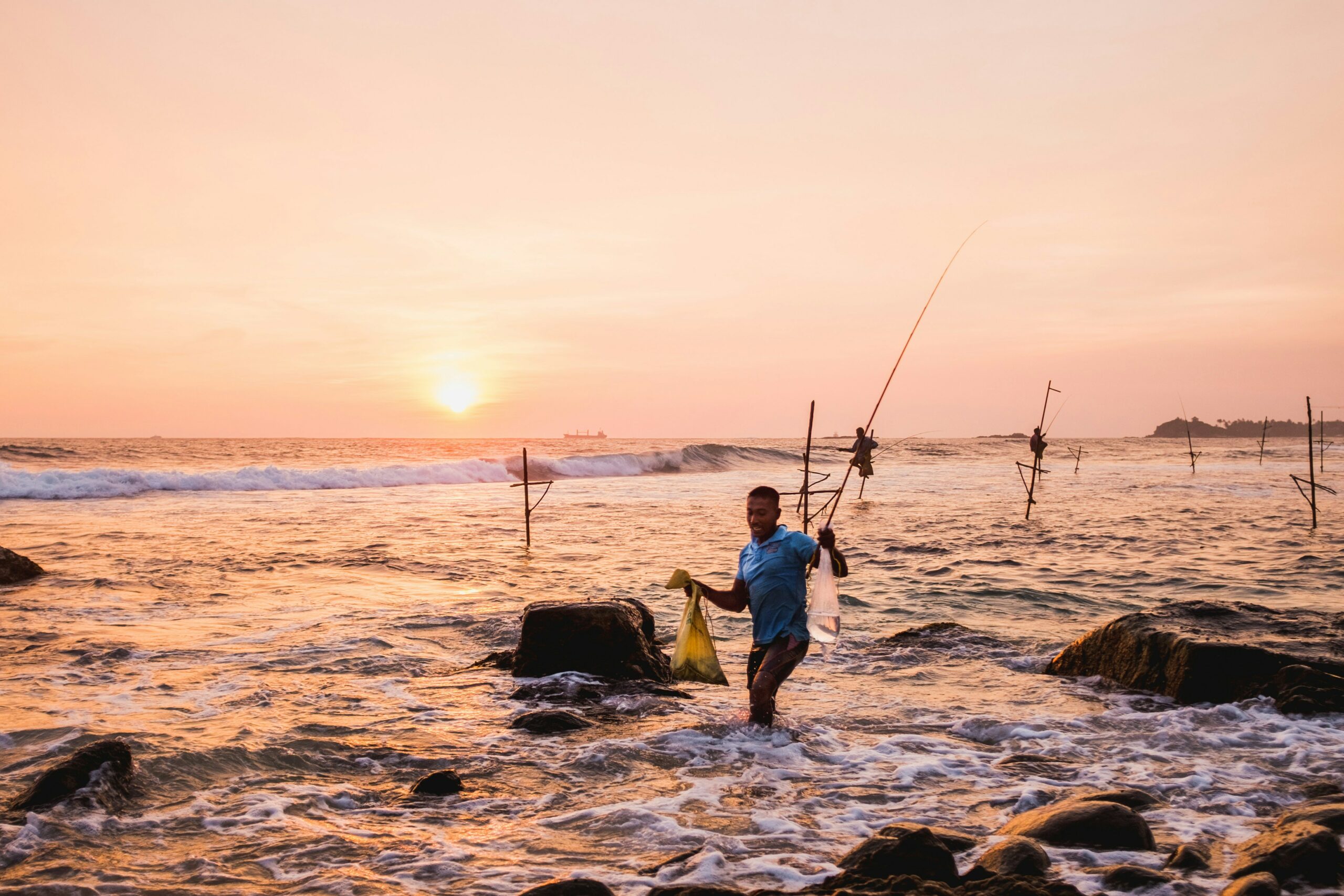 Analysis Essay: Sport Fishing Is Cruel