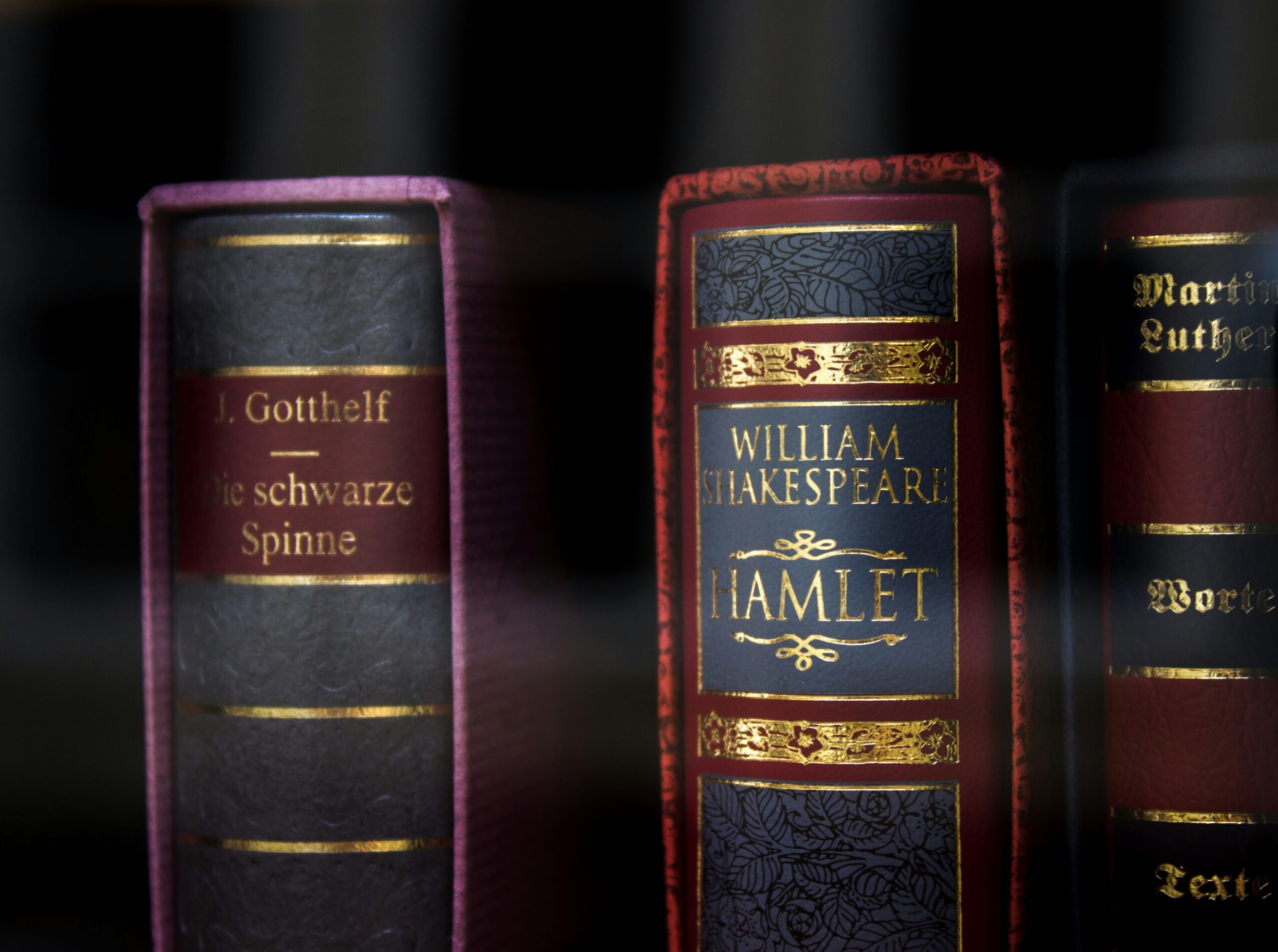 Moral Philosophy and Character Development in Hamlet